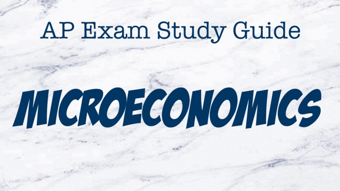 Ap microeconomics study guide pdf