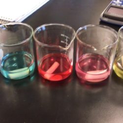 Ap biology diffusion and osmosis lab