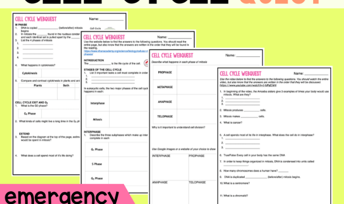 Cell energy webquest answer key pdf