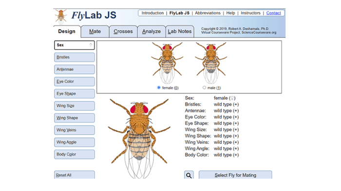 Virtual fruit fly lab ap biology answers