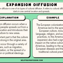 Commodification definition ap human geography