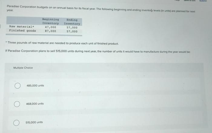 Paradise corporation budgets on an annual basis