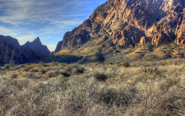 Mountains and basins region of texas natural resources